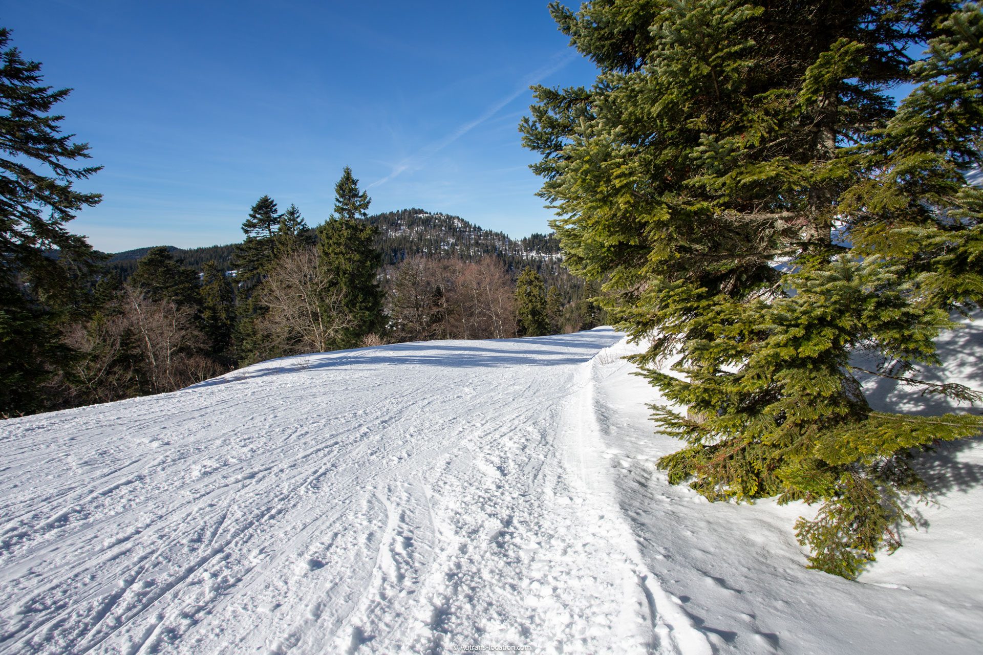 Compagnie des Alpes : les domaines skiables signent une saison record